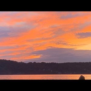 Meet your Posher, Vivian